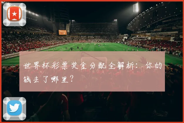 世界杯彩票奖金分配全解析：你的钱去了哪里？