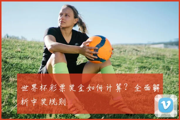 世界杯彩票奖金如何计算？全面解析中奖规则