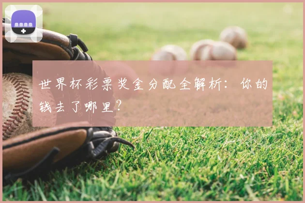 世界杯彩票奖金分配全解析：你的钱去了哪里？