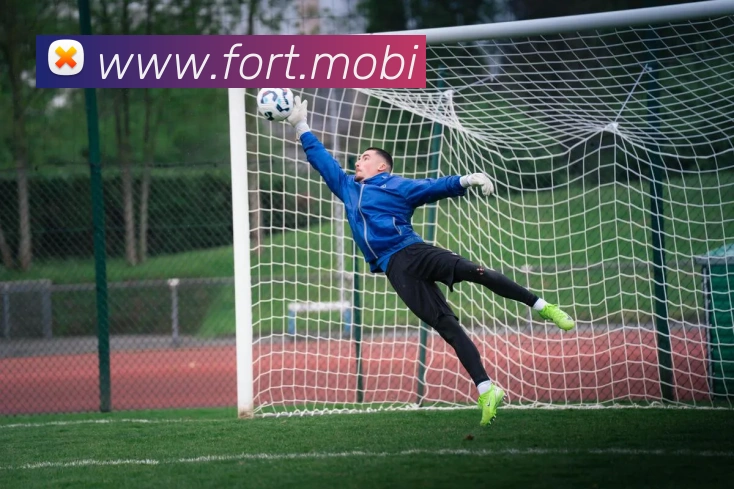 星空软件官网发展历程